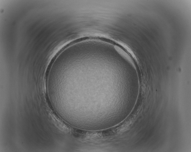 X0000085050887200703121456