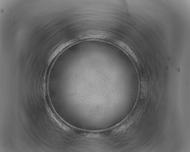 X0000085050890200703121456