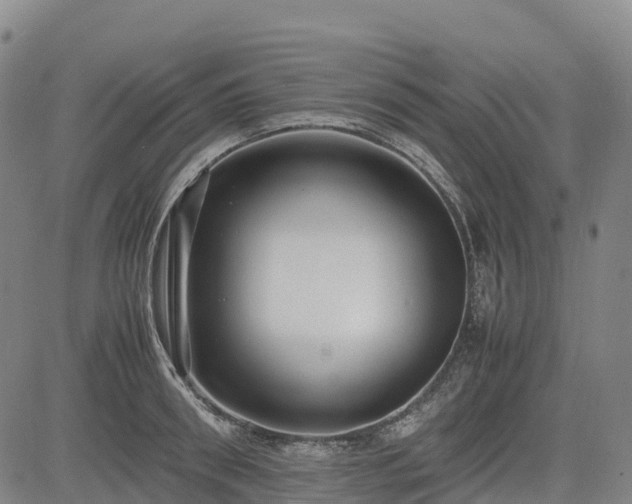 X0000085050898200703121456