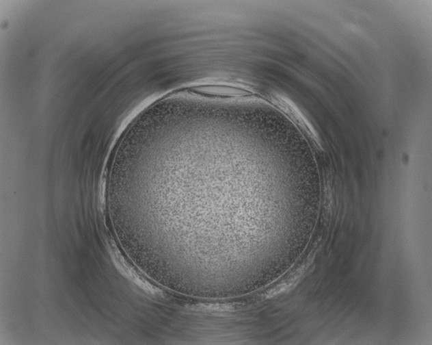 X0000085050900200703121456