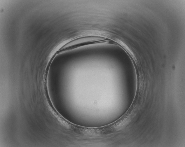 X0000085050901200703121456