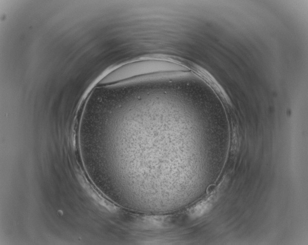 X0000085050908200703121456