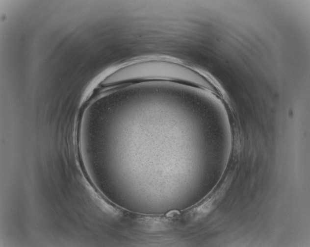 X0000085050910200703121456