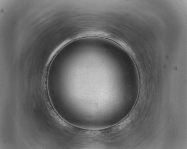 X0000085050912200703121456