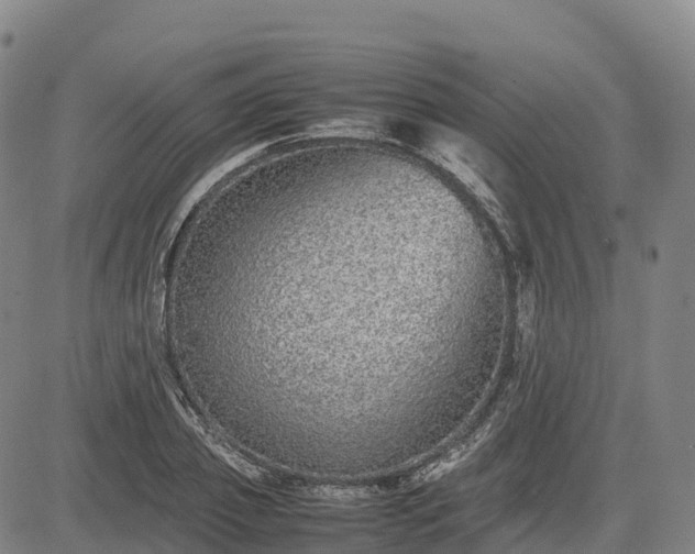 X0000085050933200703121455