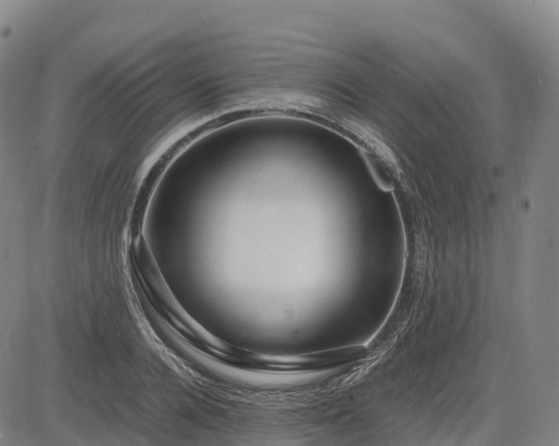 X0000085050936200703121455