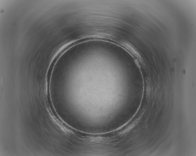 X0000085050940200703121455