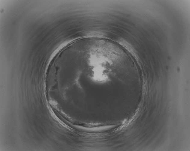 X0000085050941200703121455