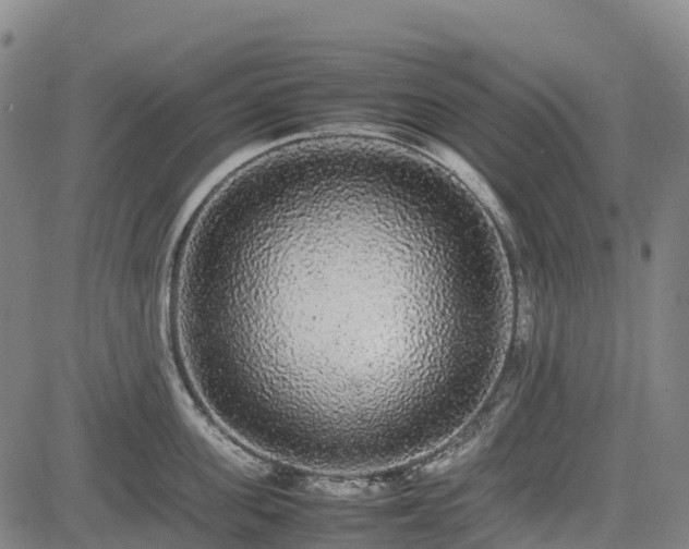 X0000085050955200703121456