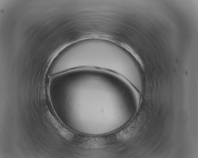 X0000085050972200703121455
