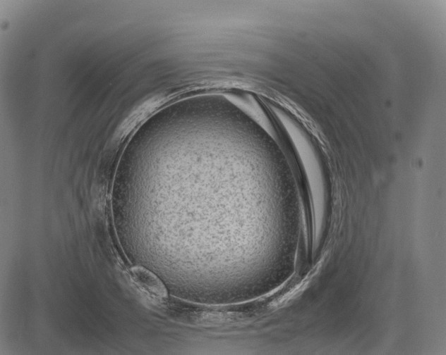 X0000085050985200703121455