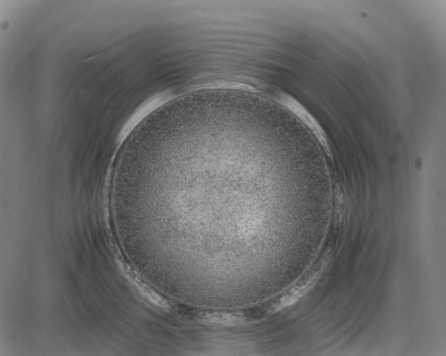 X0000085051002200703121454