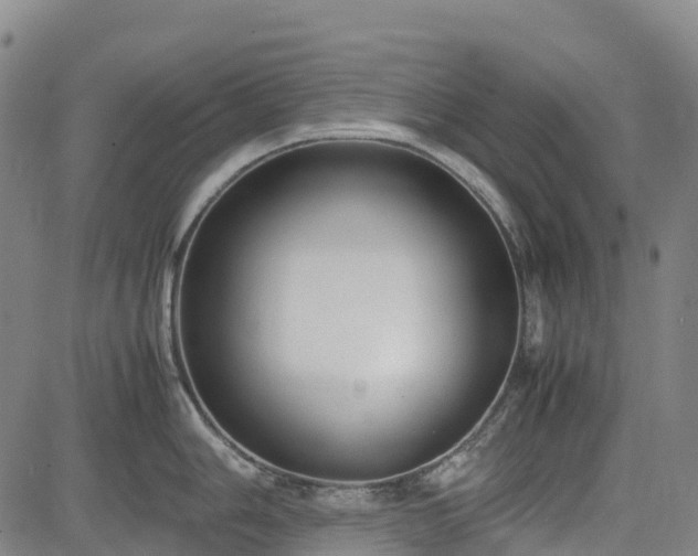 X0000085051006200703121454