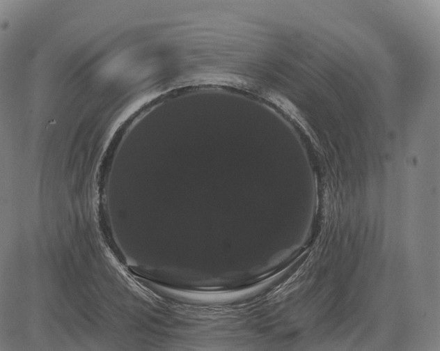 X0000085051024200703121454