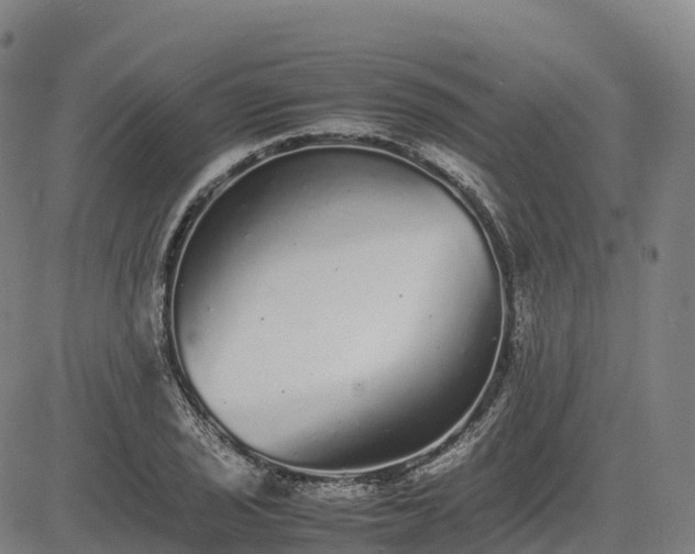 X0000085051029200703121454