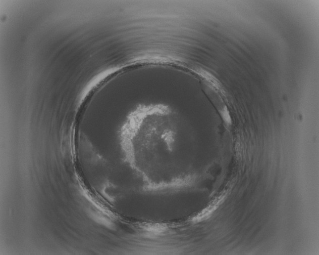 X0000085051030200703121454