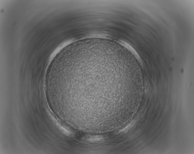 X0000085051043200703121454