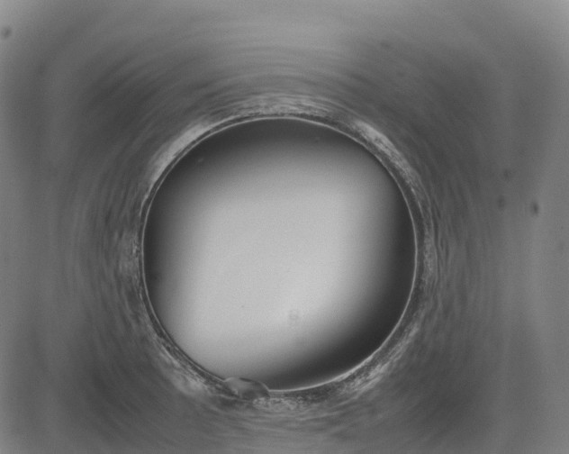 X0000085051089200703121453