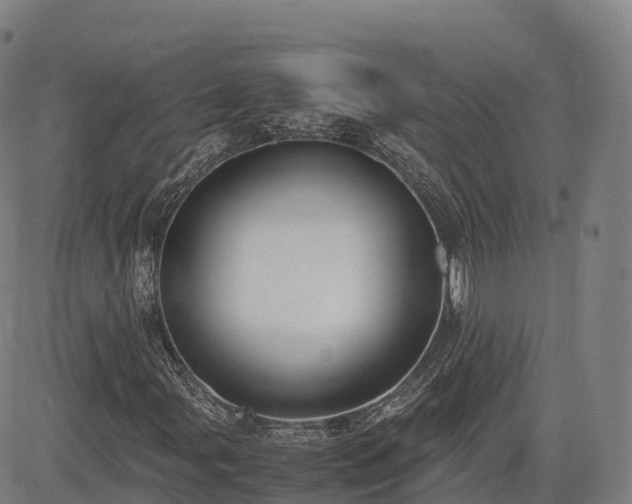 X0000085051107200703121452