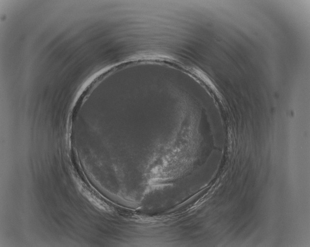 X0000085051124200703121452