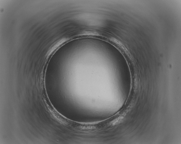 X0000085051129200703121452