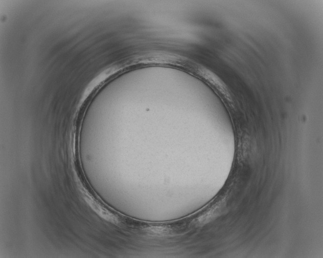 X0000085051130200703121452