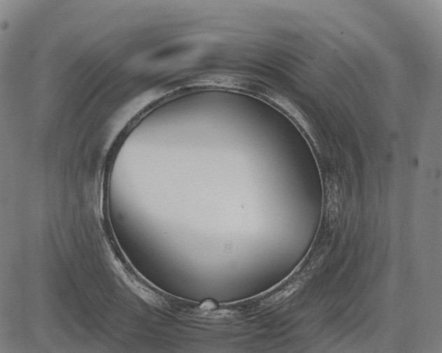 X0000085051131200703121452