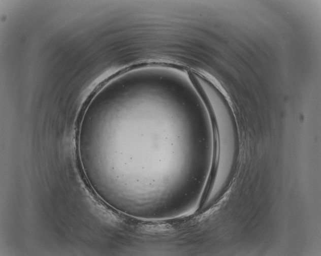 X0000085051133200703121452