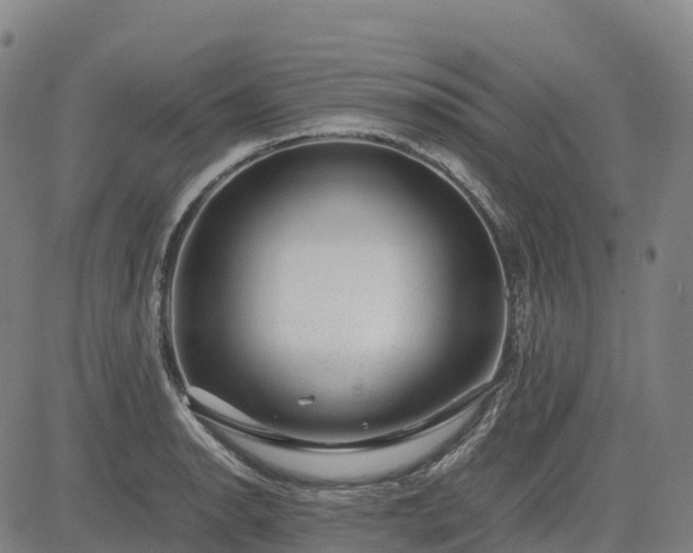 X0000085051134200703121452