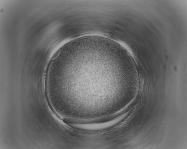 X0000085051151200703121453