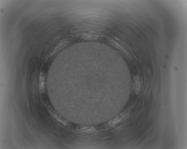 X0000085051154200703121452