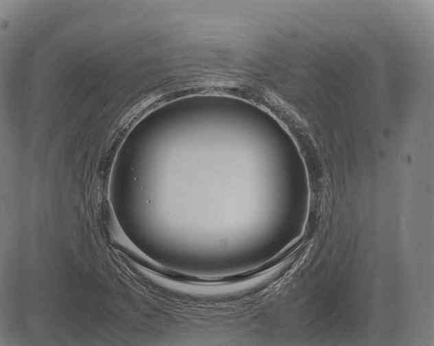 X0000085051169200703121451
