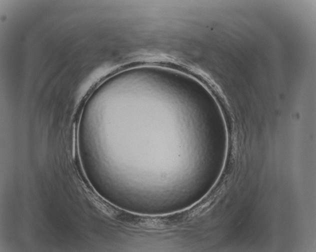 X0000085051175200703121451