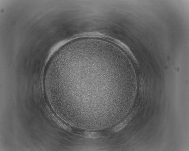 X0000085051176200703121451