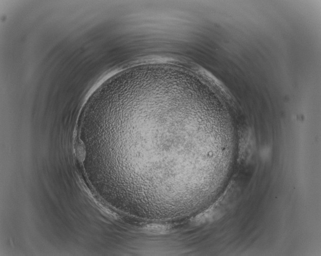 X0000085051178200703121451