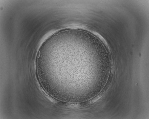 X0000085051191200703121451