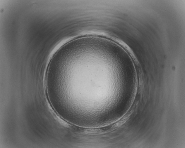 X0000085051199200703121451