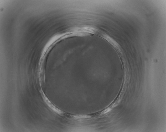 X0000085051200200703121451