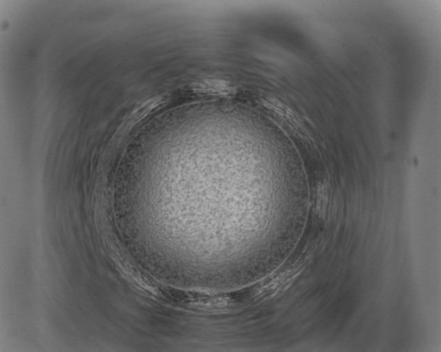 X0000085051201200703121450