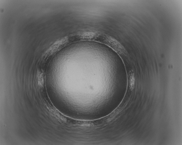 X0000085051204200703121450