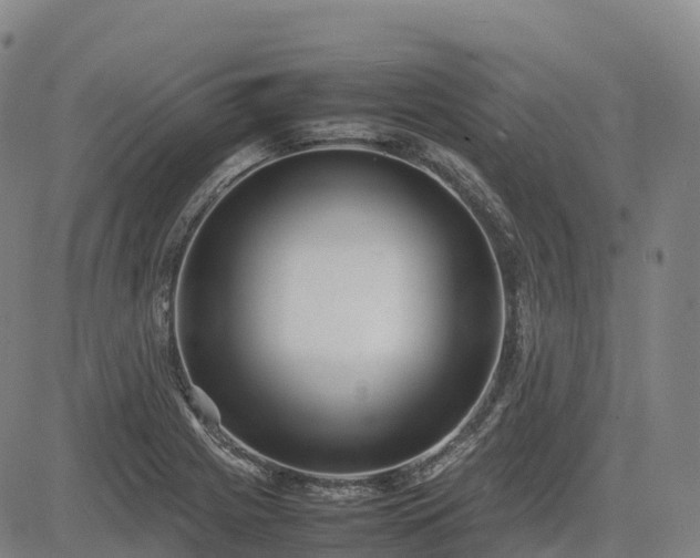 X0000085051225200703121451