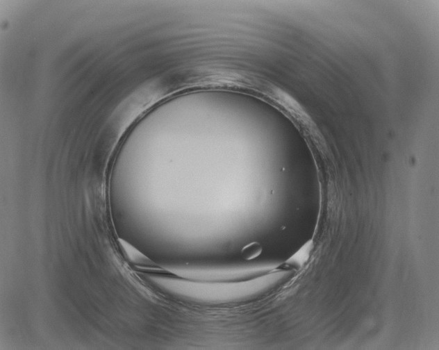 X0000085051234200703121451