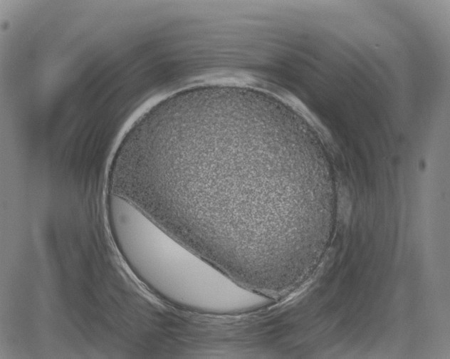 X0000085051240200703121451