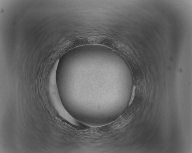 X0000085051249200703121450