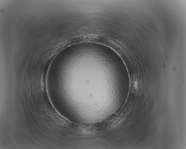 X0000085051252200703121450