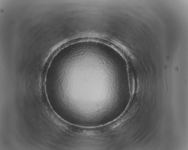 X0000085051264200703121450