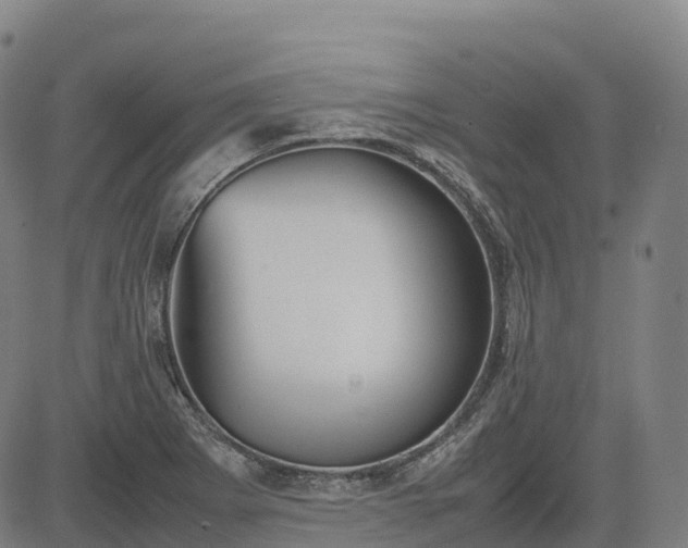 X0000085051273200703121450