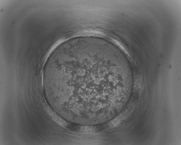 X0000085051275200703121450