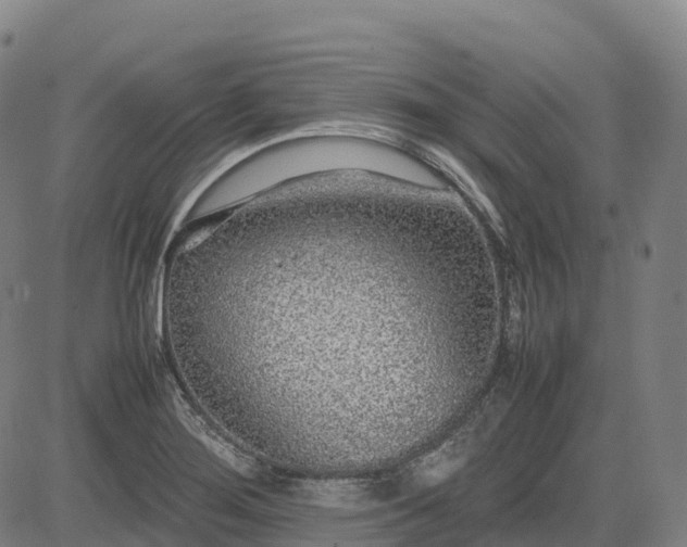 X0000085051276200703121450