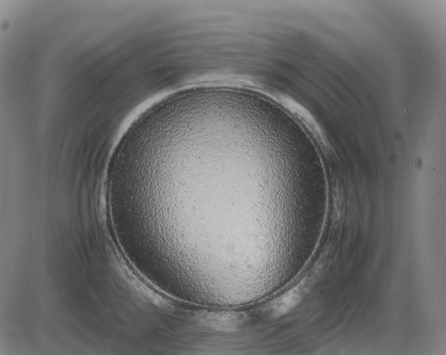 X0000085051288200703121449